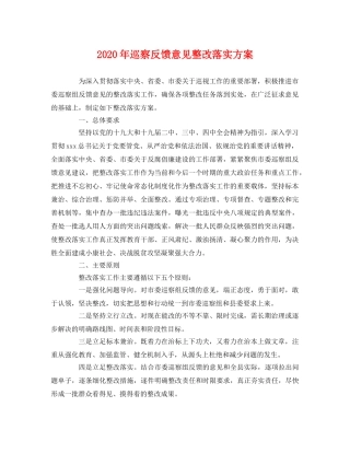 2020年巡察反馈意见整改落实方案 