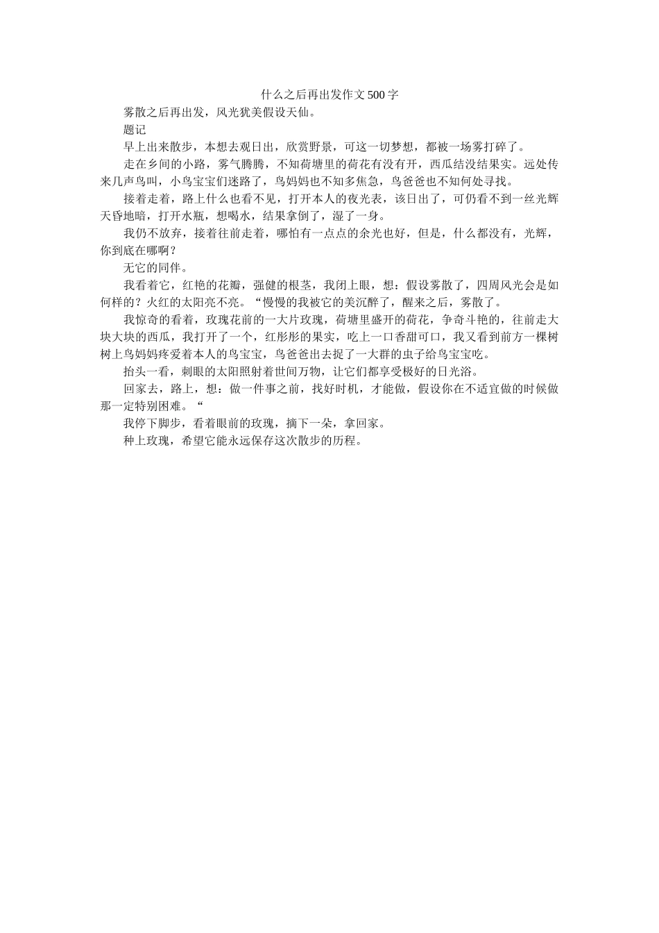 什么之ۥ后再出发作文500字 _第1页