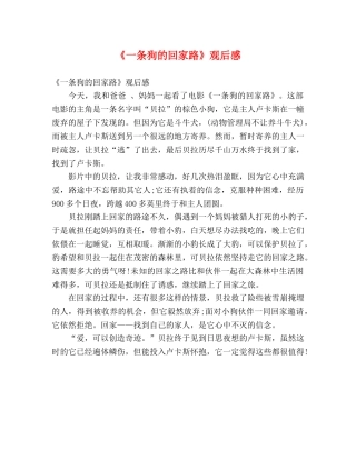 《一条狗的回家路》观后感 
