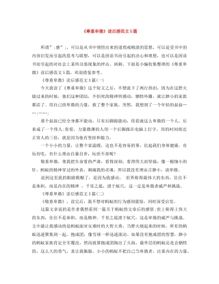 《尊重卑微》读后感范文5篇 