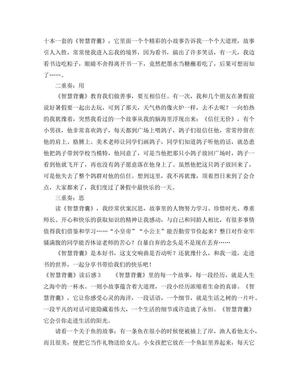《智慧背囊》读后感 _第2页