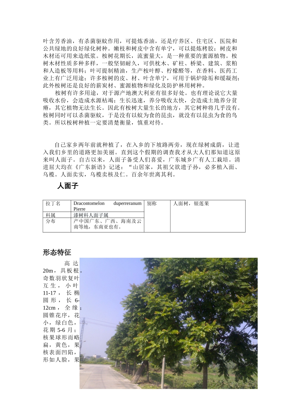 关于潮汕地区行道树的种类与利用的调查_第3页