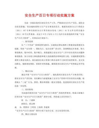 《安全管理文档》之安全生产百日专项行动实施方案 