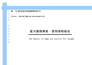 中原星河惠陽專案之营销策略報告