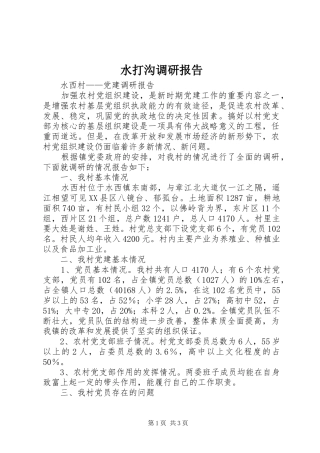 水打沟调研报告 