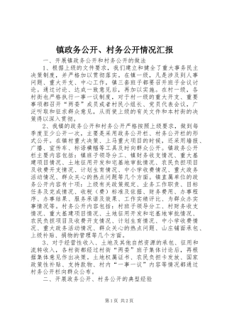 镇政务公开、村务公开情况汇报 