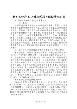 新东谷年产30万吨面粉项目建设情况汇报 
