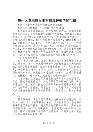 襄州区龙王镇后王村甜瓜种植情况汇报 