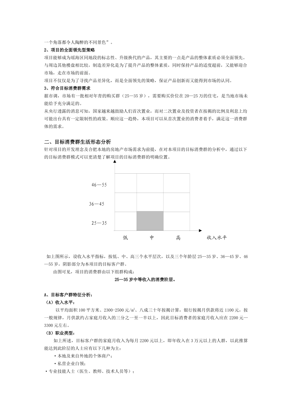 合肥金大陆项目营销及产品策划报告_第2页