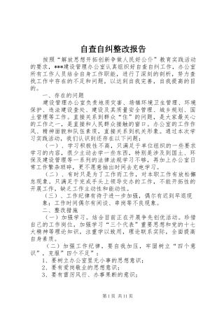 自查自纠整改报告 