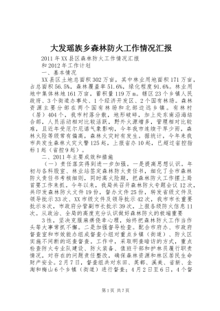 大发瑶族乡森林防火工作情况汇报 