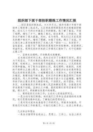 组织部下派干部挂职煅练工作情况汇报 
