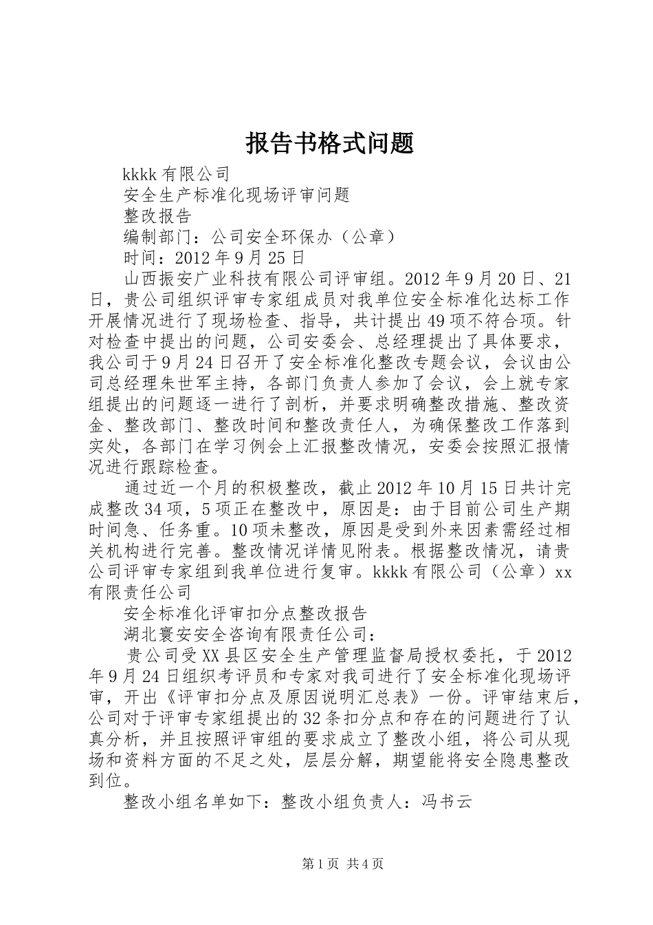 报告书格式问题 _第1页