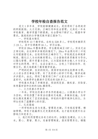 学校年检自查报告范文 