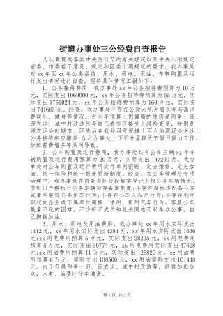 街道办事处三公经费自查报告 