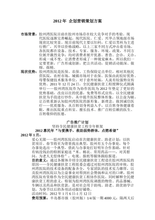 XXXX年 企划营销策划方案