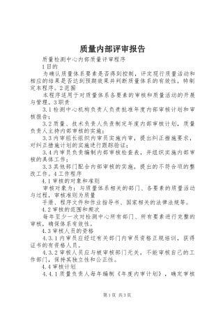质量内部评审报告 