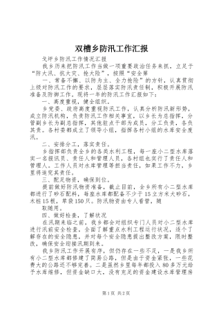 双槽乡防汛工作汇报1 