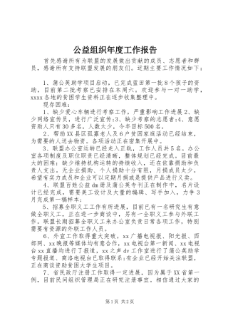 公益组织年度工作报告 
