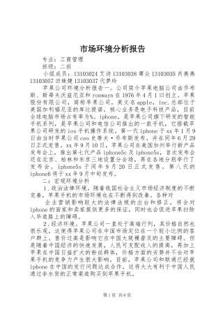 市场环境分析报告 