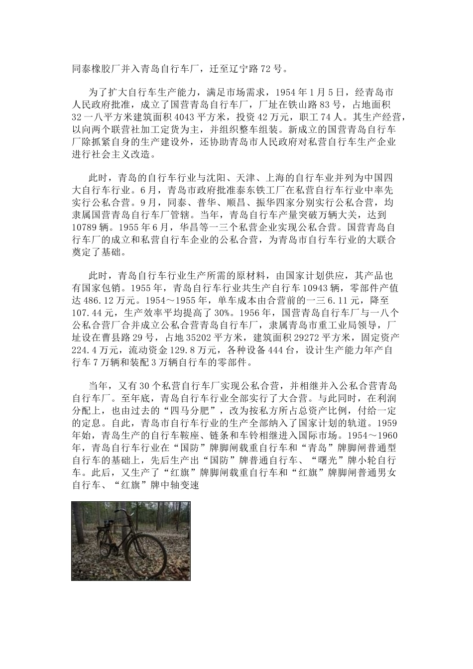 关于青岛老字号金鹿的调研_第2页