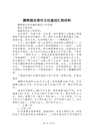 腾晖煤业青年文化建设汇报材料 