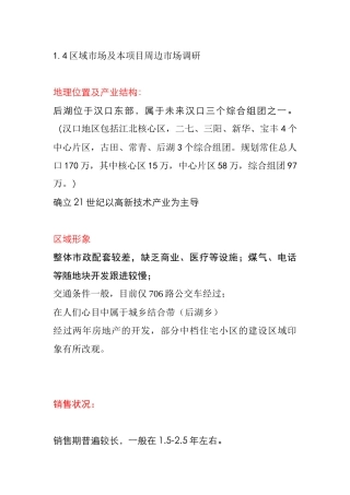 世联策划营销报告