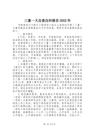 三重一大自查自纠报告20XX年