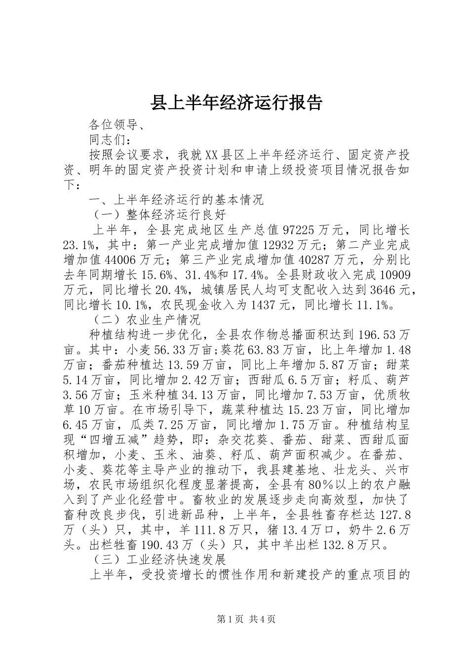 县上半年经济运行报告 _第1页