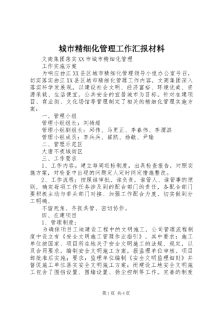 城市精细化管理工作汇报材料 
