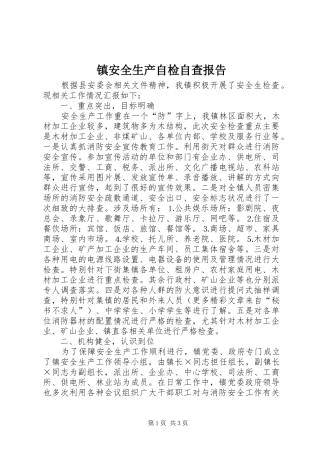 镇安全生产自检自查报告 