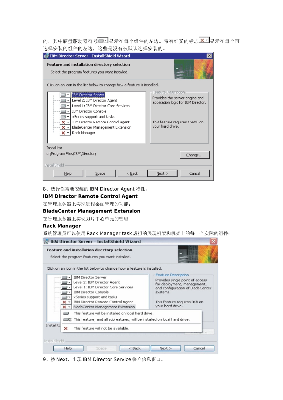 IBM RDM分发在刀片服务器上的实现_第2页
