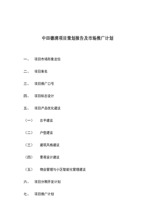 中田德清项目策划报告与市场推广计划