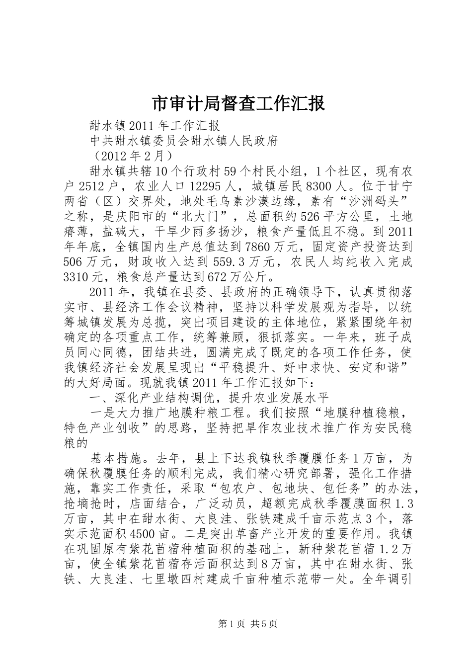 市审计局督查工作汇报 _第1页