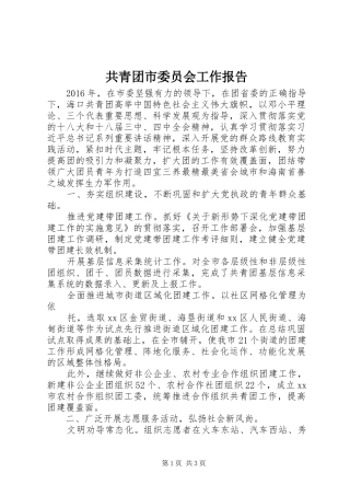 共青团市委员会工作报告 