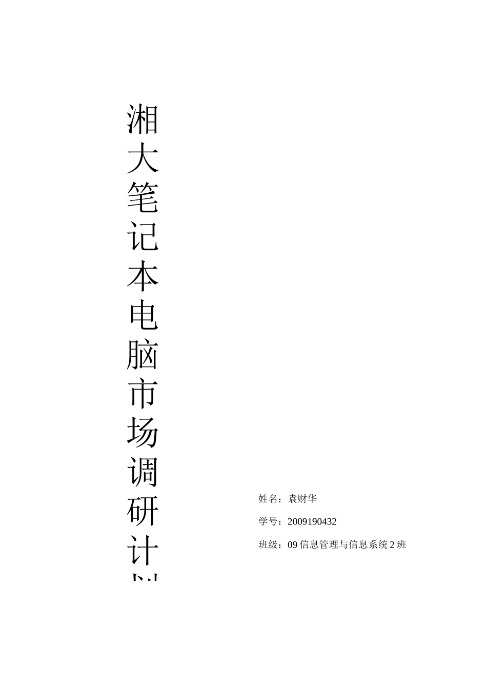 市场调研计划书1_第1页