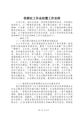 供销社工作总结暨工作安排