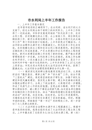 市水利局上半年工作报告 