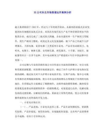 市场渠道运作案例分析