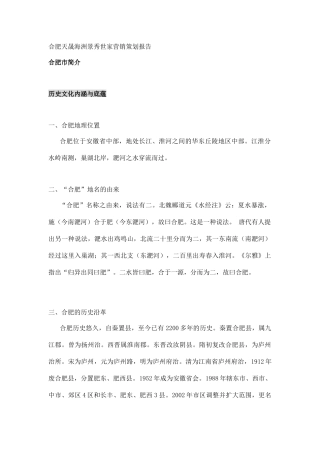 合肥天晟海洲景秀世家营销策划报告