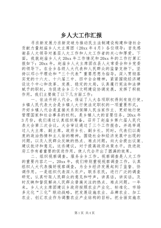 乡人大工作汇报 