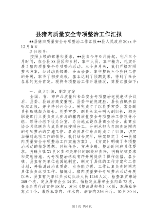 县猪肉质量安全专项整治工作汇报 