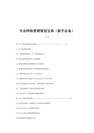 专业网络营销策划宝典(新手必备)