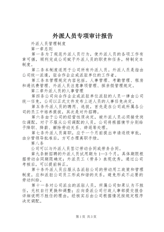 外派人员专项审计报告 