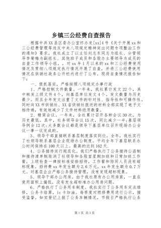乡镇三公经费自查报告 
