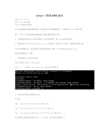 Linux下搭建DNS服务