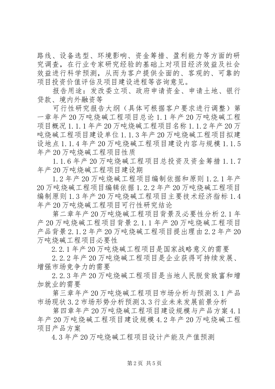 湖北重点项目年产20万吨烧碱工程项目可行性研究报告(撰写大纲)_第2页
