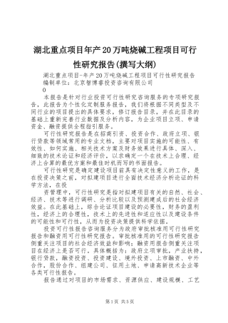 湖北重点项目年产20万吨烧碱工程项目可行性研究报告(撰写大纲)