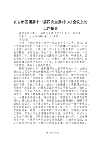 在自治区团委十一届四次全委(扩大)会议上的工作报告 