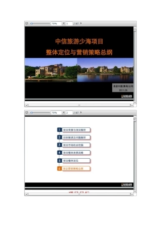 中信旅游少海项目整体定位与营销策略总纲档